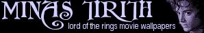 frodo banner 300x50