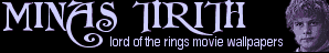 sam banner 300x50